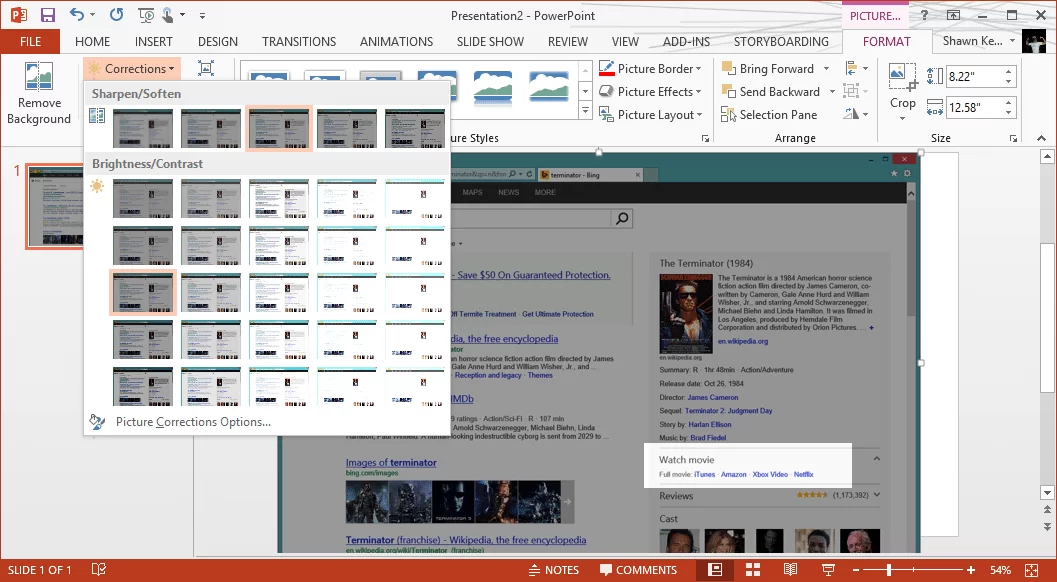 With the back image darkened, the small (front) cropped image really stands out.